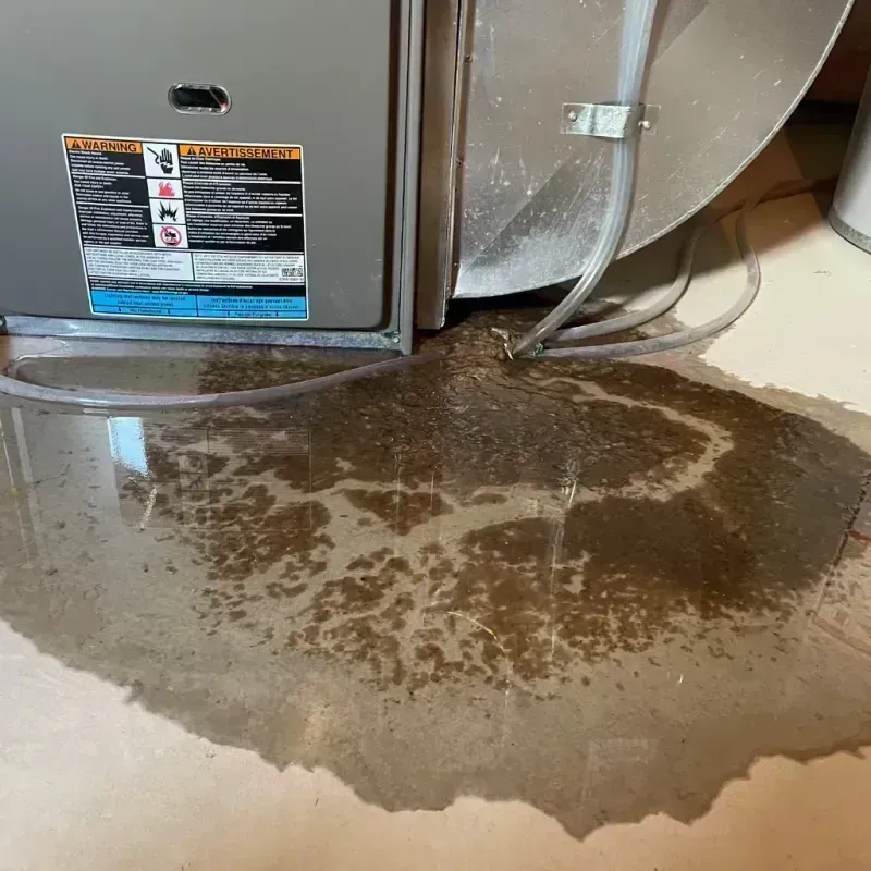 Appliance Leak Cleanup in Saint Elmo, IL